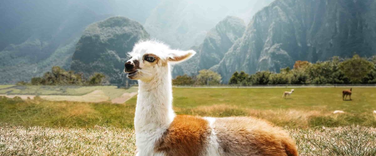 Paquete Cusco y Machu Picchu en 6 días