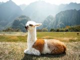 Paquete Cusco y Machu Picchu en 6 días