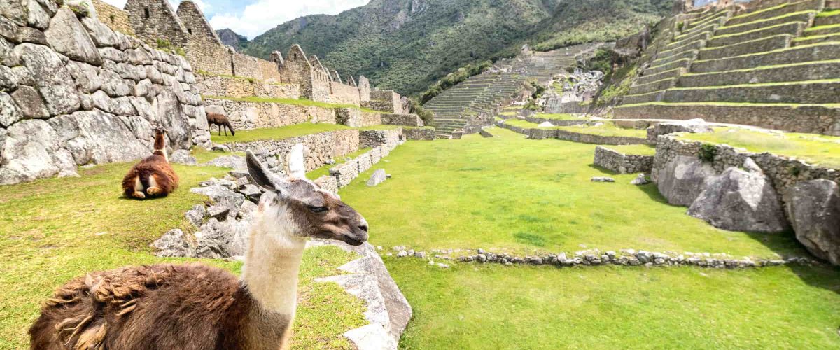 Paquete Perú 8 días / 7 noches