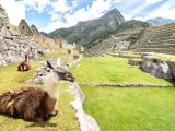 Paquete Perú 8 días / 7 noches