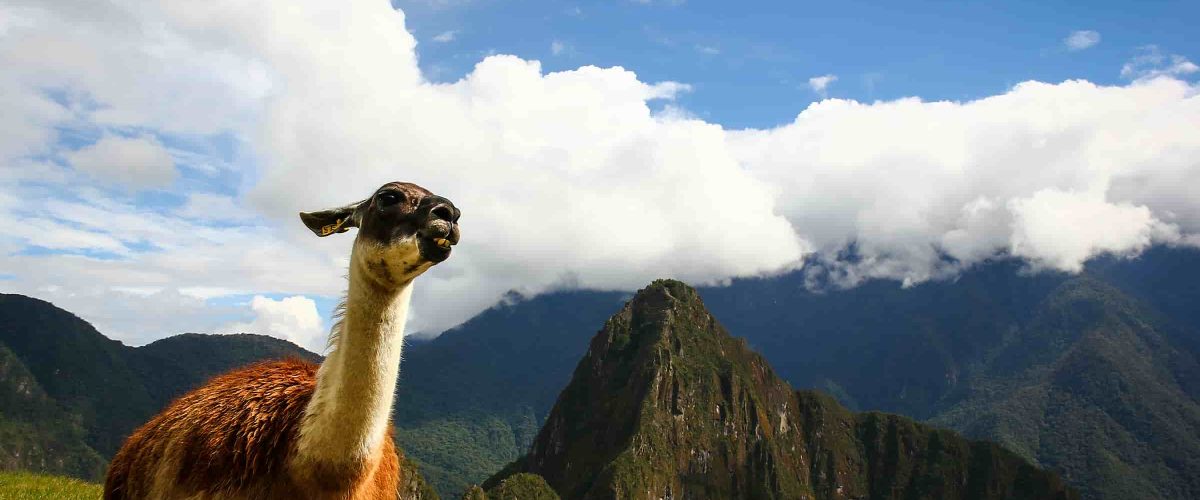Cusco Express 4 días