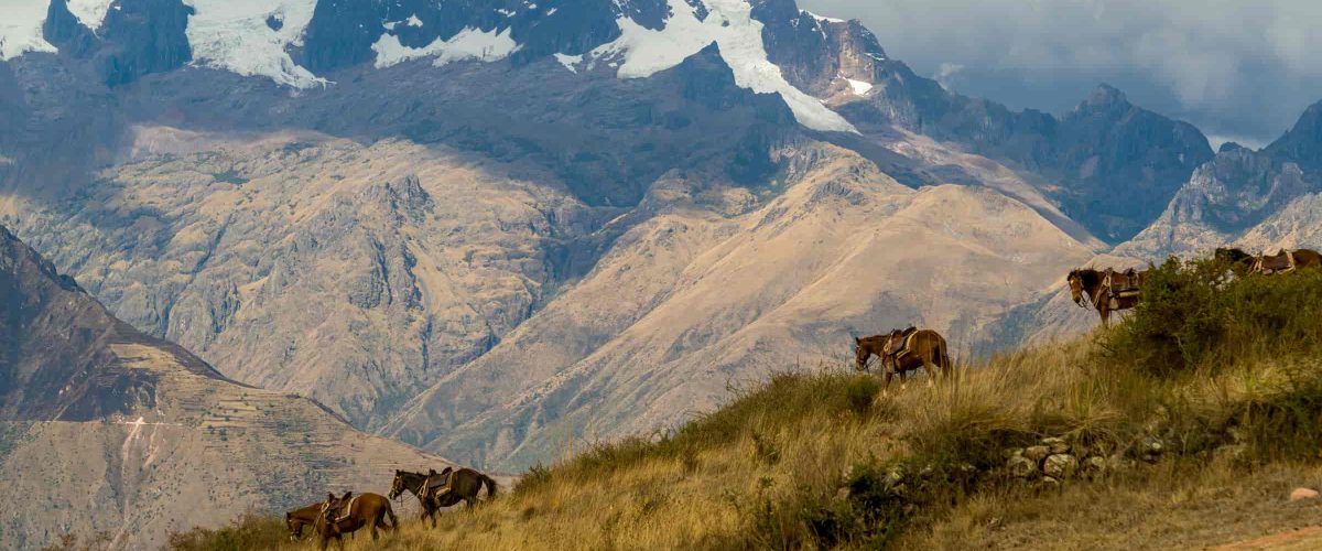 Paquete Perú 8 días / 7 noches