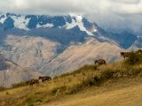 Paquete Perú 8 días / 7 noches