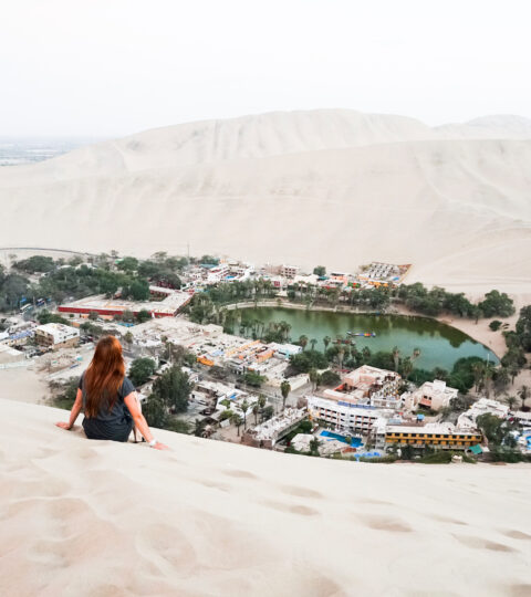 Full Day Tour to Ica, Paracas, and Huacachina